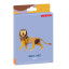Studio ROOF Wild Animals Paper Wall Art - Lion