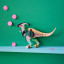 Studio ROOF Small Dinosaur Paper Figurine - Parasaul Dino