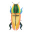 Studio ROOF Small Insects Madagascar Beetle Paper Wall Decor