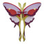 Studio ROOF Small Insects Lilac Comet Butterfly Paper Wall Art