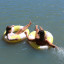 Sunnylife Slim Tube Pool Ring - Tides Out Citrus Stripe in the water