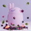 Asobu Vacuum Insulated Bestie Food Jar, 600ml - Bunny