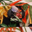 DSA Botanica Tropicana Napkins, Set of 6 - Black on the table