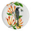 Maxwell & Williams Eloise Short Lyric Coupe Plate, 20cm - Regent Honeyeater