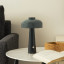Arc & Hue Poppy Portable & Rechargeable LED Lamp - Dusty Green on a coffee table