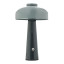 Arc & Hue Poppy Portable & Rechargeable LED Lamp - Dusty Green