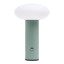 Arc & Hue Oliver Portable & Rechargeable LED Lamp - Mint