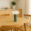 Arc & Hue Oliver Portable & Rechargeable LED Lamp - Mint on a dinner table