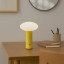 Arc & Hue Oliver Portable & Rechargeable LED Lamp - Lemon on a desk