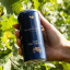 Blaauwklippen Twinkle Tizer, Pack of 6 white grape