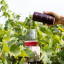 Blaauwklippen Twinkle Tizer, Pack of 6 red grape