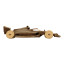 Cartonic 3D Racing Car Sculpture Puzzle angle