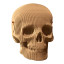 Cartonic 3D Skull Sculpture Puzzle angle