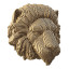 Cartonic 3D Lion Wall Mountable Puzzle Art