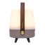 Kooduu Lite-Up Play Mini JBL Speaker & Lamp - White/Earth angle