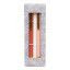 Designworks Ink Mechanical Pencils, Set of 2 - Rosewood & Blush packaging angle