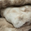 Thread Office Luxury Fur Blanket, 200cm x 220cm - Mottled Taupe