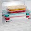 Lekue Penguin-Shaped Ice Cube Tray with Lid stored in a freezer