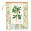 Cavallini & Co Festive Tea Towel - Christmas Holly packaging angle