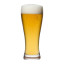 Salisbury & Co Pilsner Celebrate Beer Glasses, Set of 4