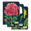 Cavallini & Co Botany Mini Notebook Set, Pack of 3