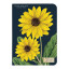 Cavallini & Co Botany Mini Notebook Set, Pack of 3 detail