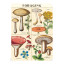 Cavallini & Co Foraging Mini Notebook Set, Pack of 3 detail