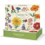 Cavallini & Co Wildflowers Stationery Set