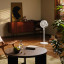 Xiaomi Smart Stand Air Circulation Fan in the living room
