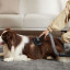 Dreame Z30 Cordless Stick Vacuum Cleaner