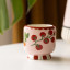 Paddywax Adopo Heirloom Tomato Ceramic Scented Candle, 226g