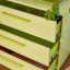 Popstrukt Sprinkles Chest of Drawers - Kiwi Fizz with opened drawers