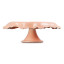 Le Creuset Iris Cake Stand, 28cm - Peche side view