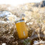 Wacaco Octaroma Yellow Vacuum Insulated Travel Mug -  180ml 