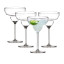 Salisbury & Co Unbreakable Margarita Glasses, Set of 4