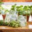 Terra Madre South African Seasoning, 400g on a table with fresh herbs