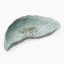 Thread Office Ceramic Mussel Shell Decor Bowl