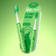 Ordo Sonic Edge Rechargeable Toothbrush - Wicked Green with packaging