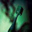 Ordo Sonic Lite Wicked Edition Electric Toothbrush - Wicked Elphaba Green cover close up