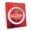 Zoku The Art of Slush Recipe Book