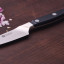 Zwilling Pro Paring Knife, 10cm