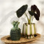 Thread Office Ceramic Green Stripe Planter