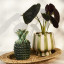 Thread Office Ceramic Green Pineapple Objet