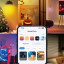 TP Link Tapo L430C Smart Wiâ€‘Fi GU10 Multicolour Light Bulb