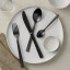 Salisbury & Co Black Baltic Cutlery Set, 24-Piece on a plate