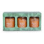 Razia's Pickle Spice Gift Box Trio Set