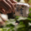Jenna Clifford Belle Fleur Sugar Pot