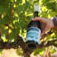 Ex Animo Trizanne 'Sondagskloof' Sauvignon Blanc 2024, 750ml