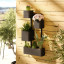 Umbra Cubiko Wall Planter - Black