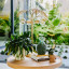 Humble & Mash Queen Palm Table Lamp